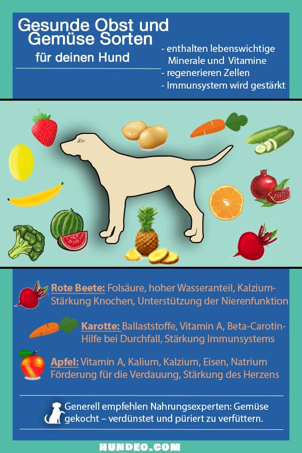 Empfohlenes Obst für die Hundeernährung