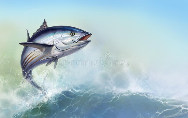 Flying Bonito (gestreifter Thunfisch)